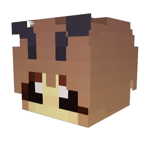 Enbee_exe Minecraft avatar head, 3D render