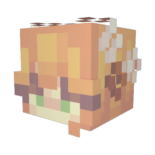 EnbyJohn Minecraft avatar head, 3D render