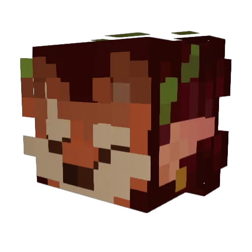 EnbyTrash42 Minecraft avatar head, 3D render