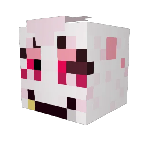 EnbyWitch Minecraft avatar head, 3D render