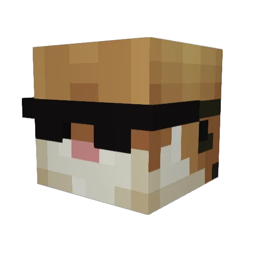 Ence__ Minecraft avatar head, 3D render