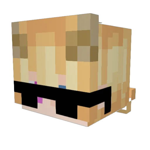 Enchanted51 Minecraft avatar head, 3D render