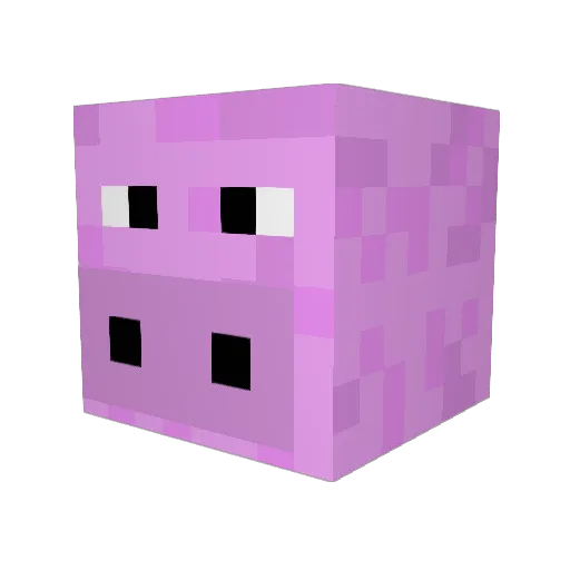 EnchantedPig999 Minecraft avatar head, 3D render