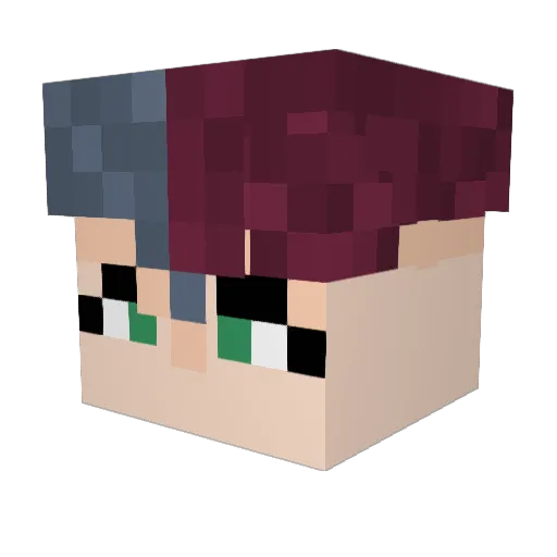 EnchantedRunes Minecraft avatar head, 3D render