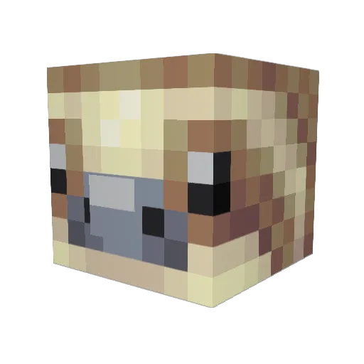 Enchanted_Poop Minecraft avatar head, 3D render