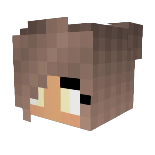 EnchantmentCraft Minecraft avatar head, 3D render
