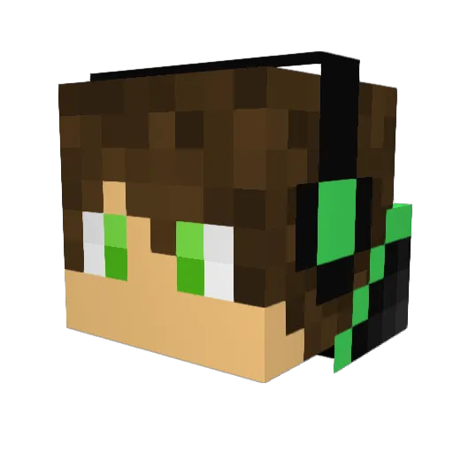Enchantspeedfish Minecraft avatar head, 3D render