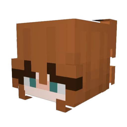 Enchilala Minecraft avatar head, 3D render