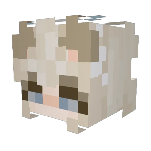 Encho Minecraft avatar head, 3D render