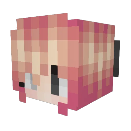 Enchoir Minecraft avatar head, 3D render