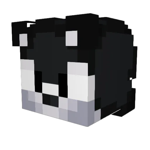 EncoreSonic Minecraft avatar head, 3D render