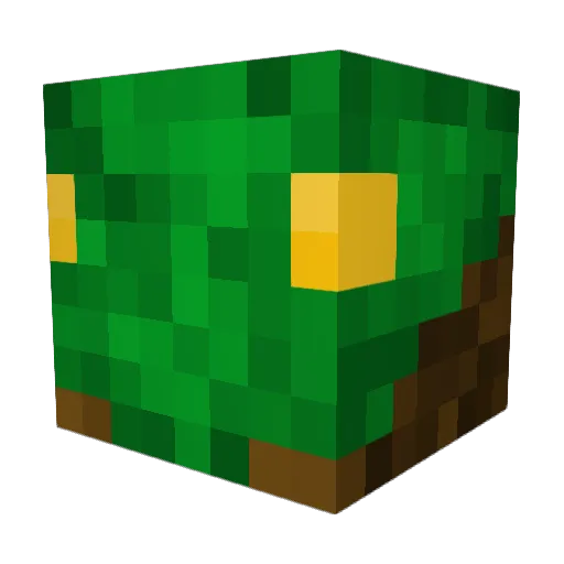 EncouragingDog Minecraft avatar head, 3D render