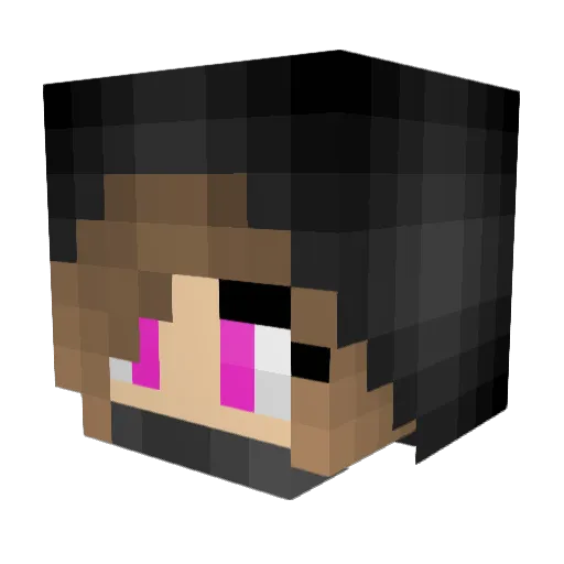 Encriptify Minecraft avatar head, 3D render