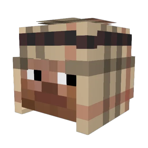 Encrqption Minecraft avatar head, 3D render