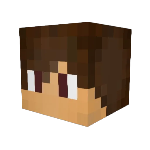EncrypticGamerz Minecraft avatar head, 3D render