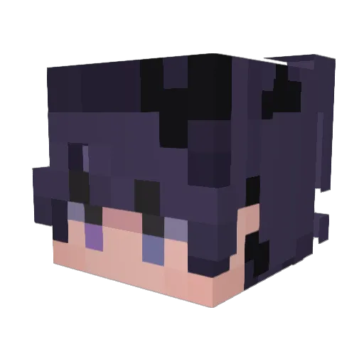 Encycling Minecraft avatar head, 3D render