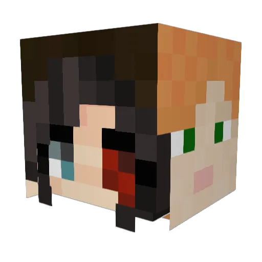 Encyclopedias Minecraft avatar head, 3D render