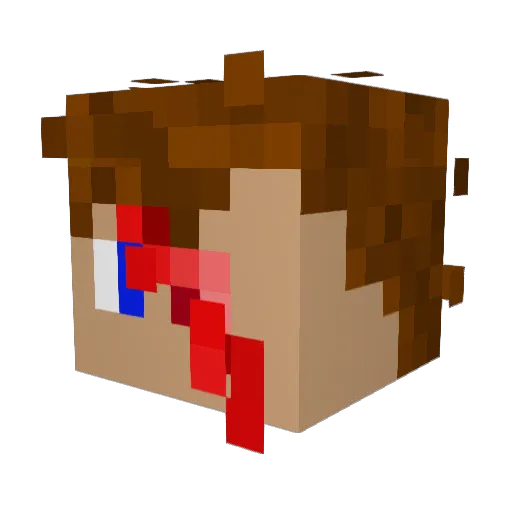 End1fY Minecraft avatar head, 3D render