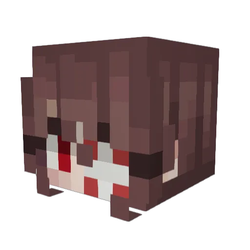End3R___Z0 Minecraft avatar head, 3D render