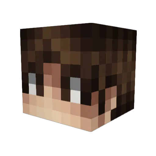 EndCoder Minecraft avatar head, 3D render