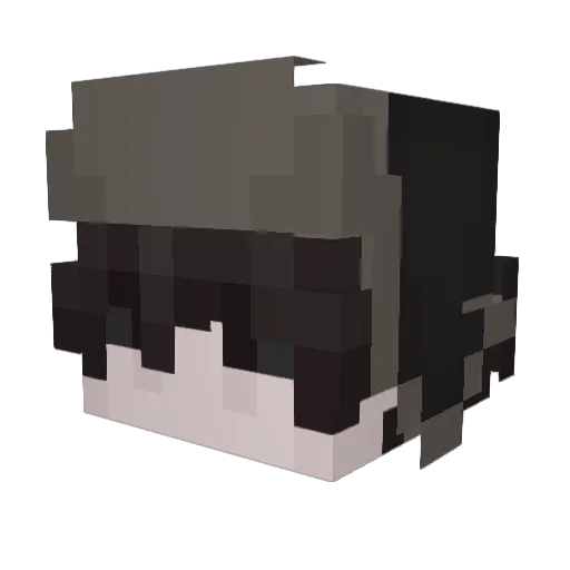 EndGamer21 Minecraft avatar head, 3D render