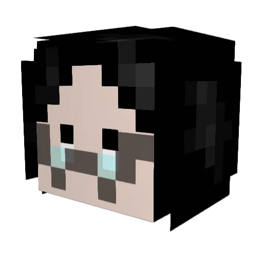EndLess_Shadow Minecraft avatar head, 3D render