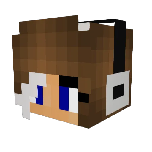 EndOfProgram Minecraft avatar head, 3D render