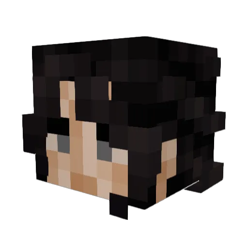 EndRealms Minecraft avatar head, 3D render
