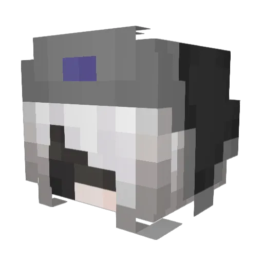 EndZone__ Minecraft avatar head, 3D render