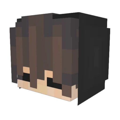 End_Ham Minecraft avatar head, 3D render