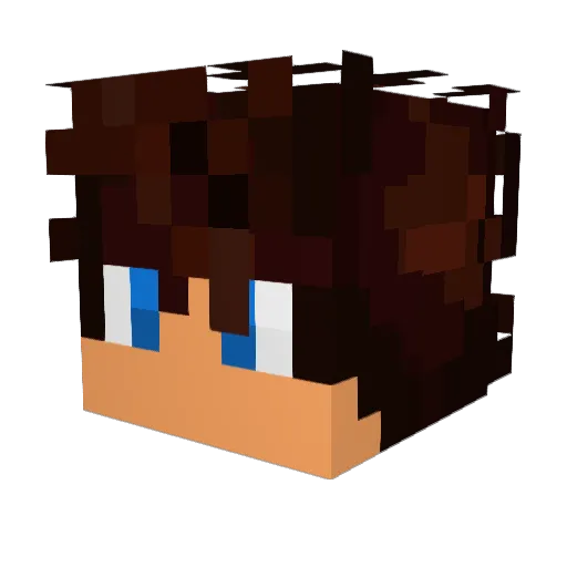 End_Zone2_0 Minecraft avatar head, 3D render