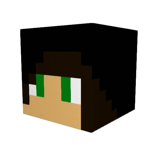End_pool Minecraft avatar head, 3D render