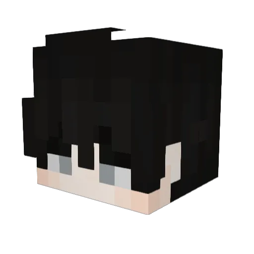 End_r0 Minecraft avatar head, 3D render