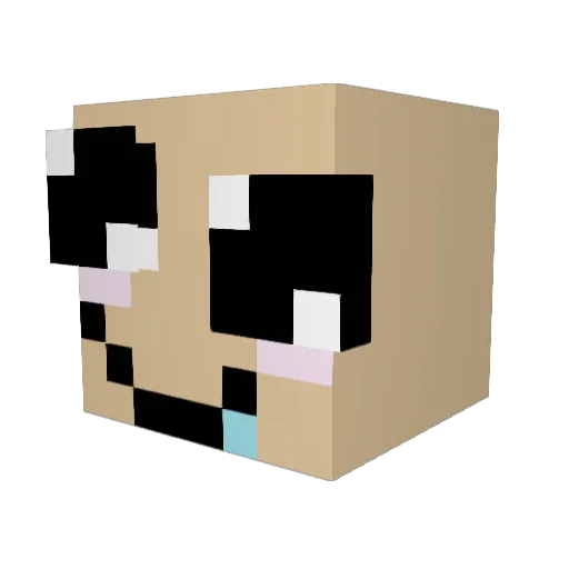 Endabore Minecraft avatar head, 3D render