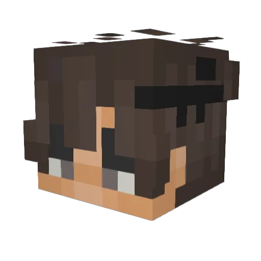Endagen Minecraft avatar head, 3D render