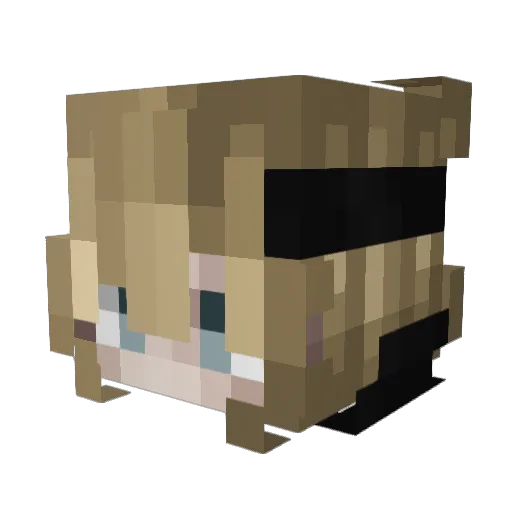 Endarlike Minecraft avatar head, 3D render