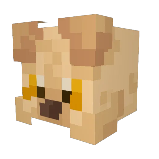 Endd1 Minecraft avatar head, 3D render
