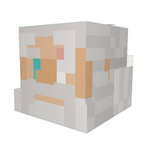 EndeavorNumber1 Minecraft avatar head, 3D render