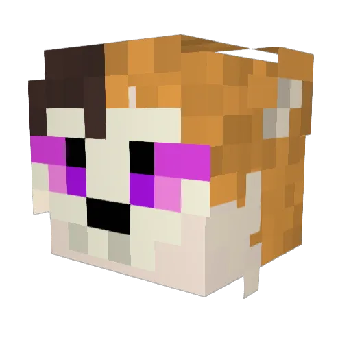 Ender1645 Minecraft avatar head, 3D render