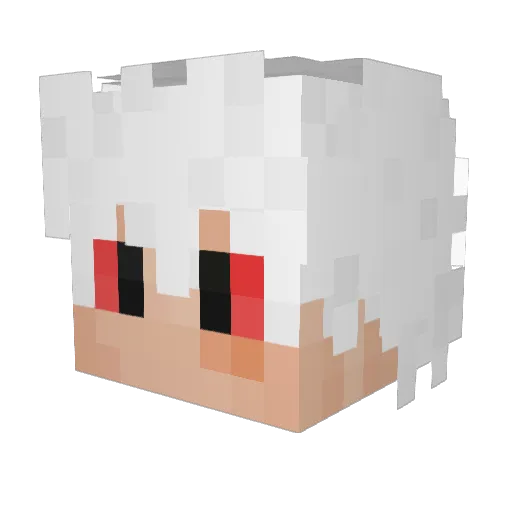 Ender169 Minecraft avatar head, 3D render