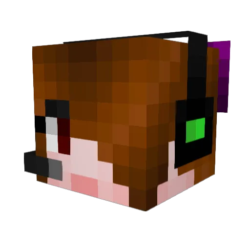 Ender250 Minecraft avatar head, 3D render