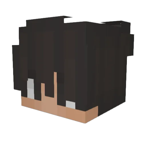 Ender2545 Minecraft avatar head, 3D render
