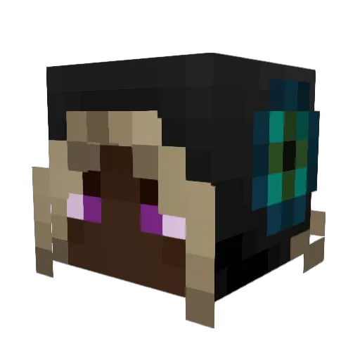 Ender505 Minecraft avatar head, 3D render