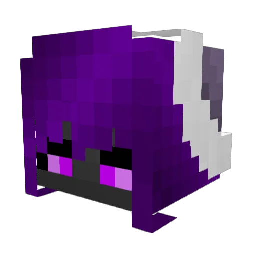 EnderAssassin27 Minecraft avatar head, 3D render