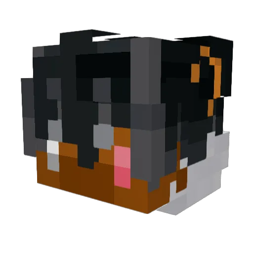 EnderBayy Minecraft avatar head, 3D render