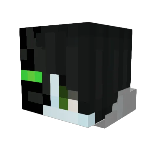 EnderBoy6677 Minecraft avatar head, 3D render
