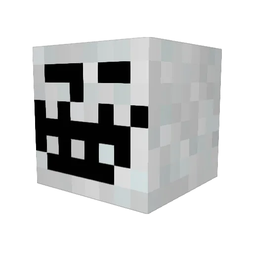 EnderBurn0 Minecraft avatar head, 3D render