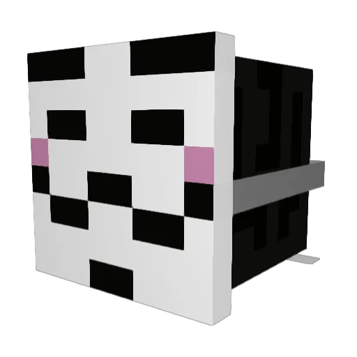 EnderCraft29 Minecraft avatar head, 3D render