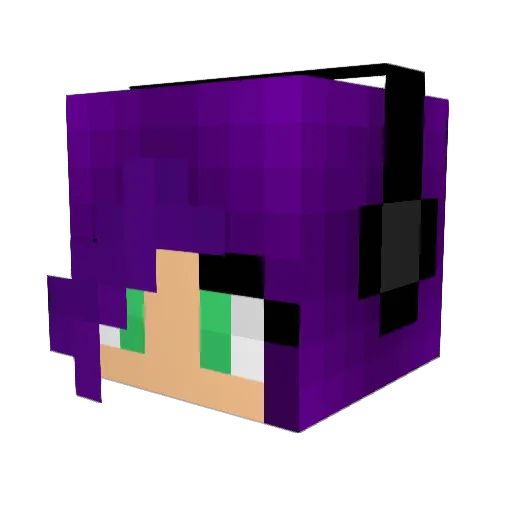 EnderCrow34 Minecraft avatar head, 3D render