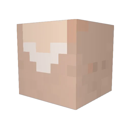 EnderDestroyed Minecraft avatar head, 3D render